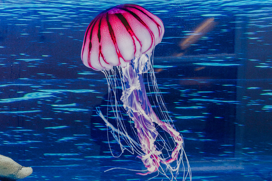 Great Totham Outdoor School Wall Art