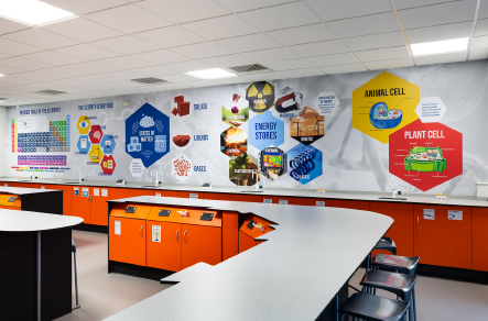 PYS Ash Manor School Science Classroom Wall Art