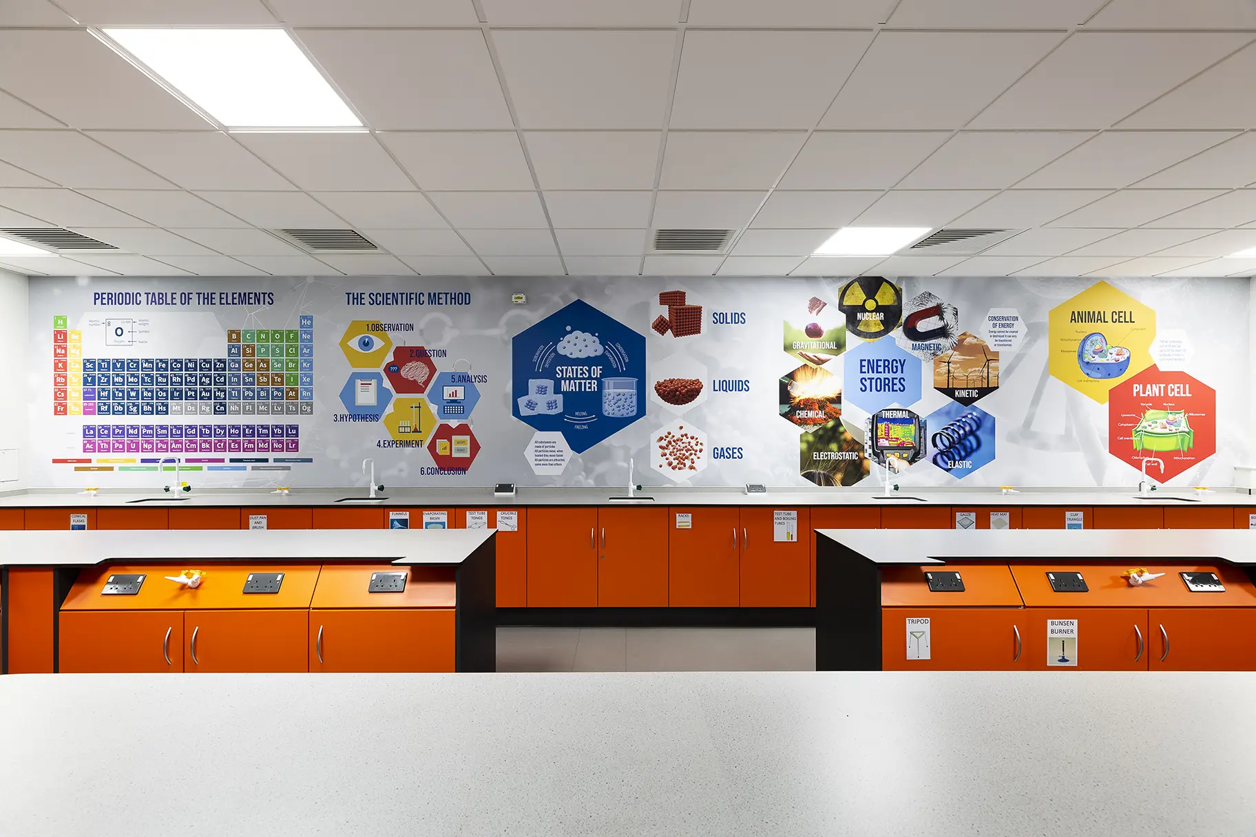 Ash Manor Science lab wall art