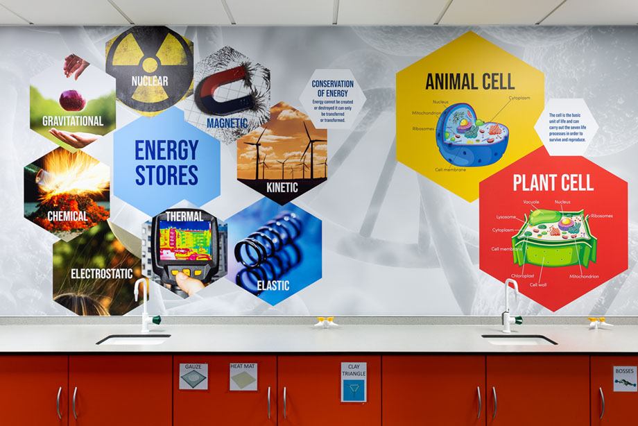Ash Manor Science lab wall art