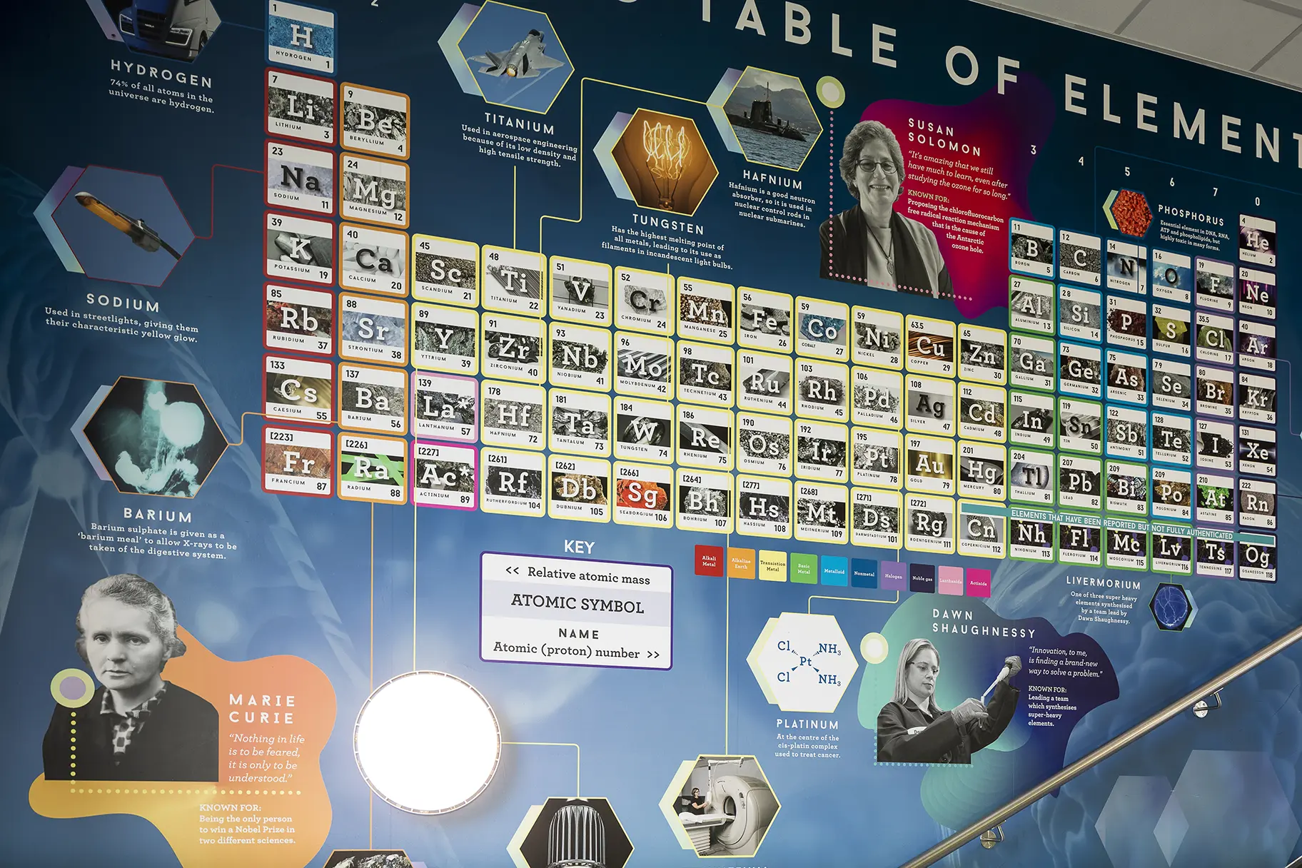 Chailey periodic table school wall art