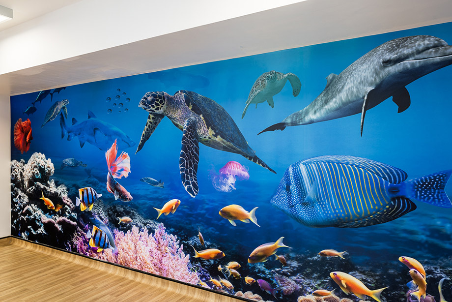 Ratcliffe College Canteen nature wall art