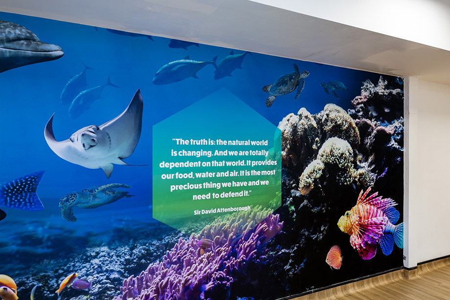 Ratcliffe College Canteen nature wall art