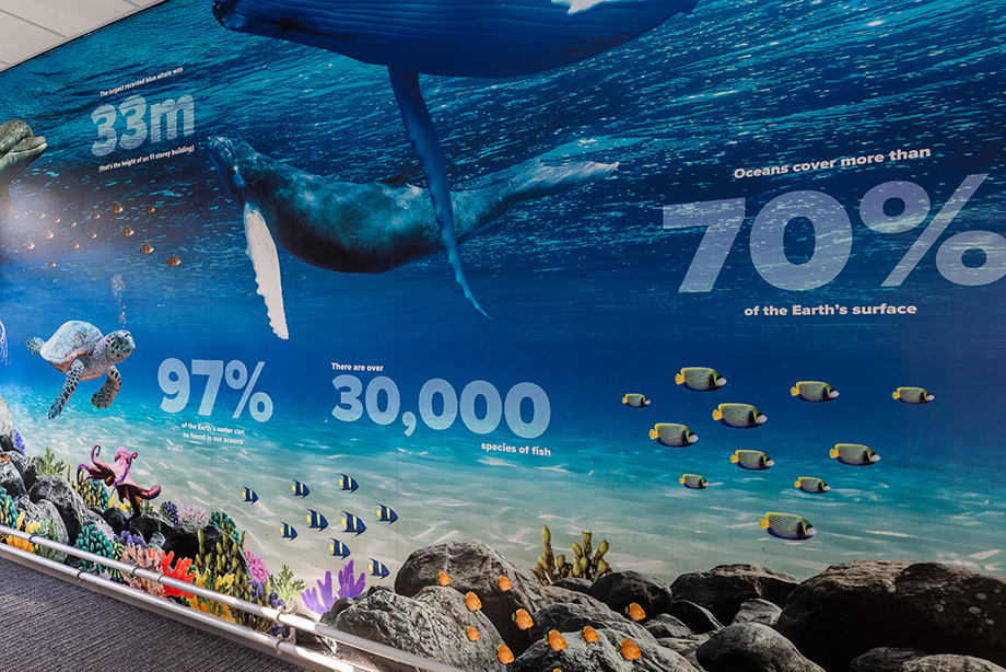 Weeke primary map school wall art