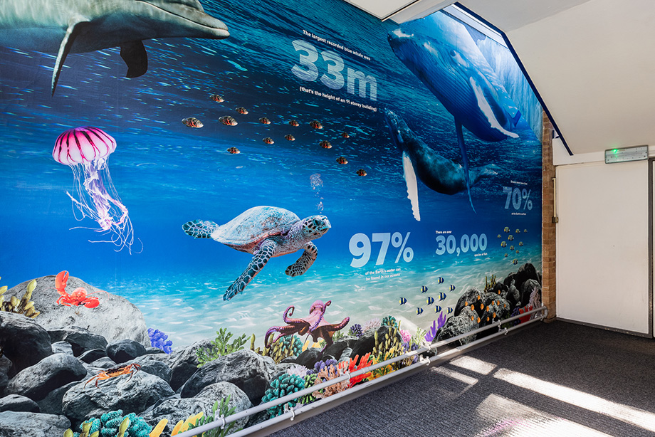 Weeke primary map school wall art