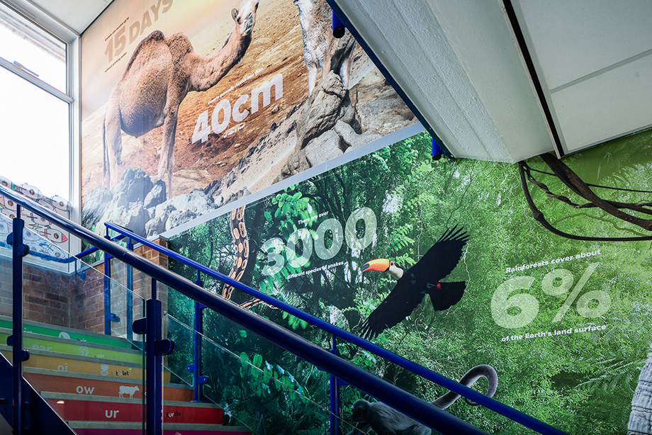 Weeke primary map school wall art