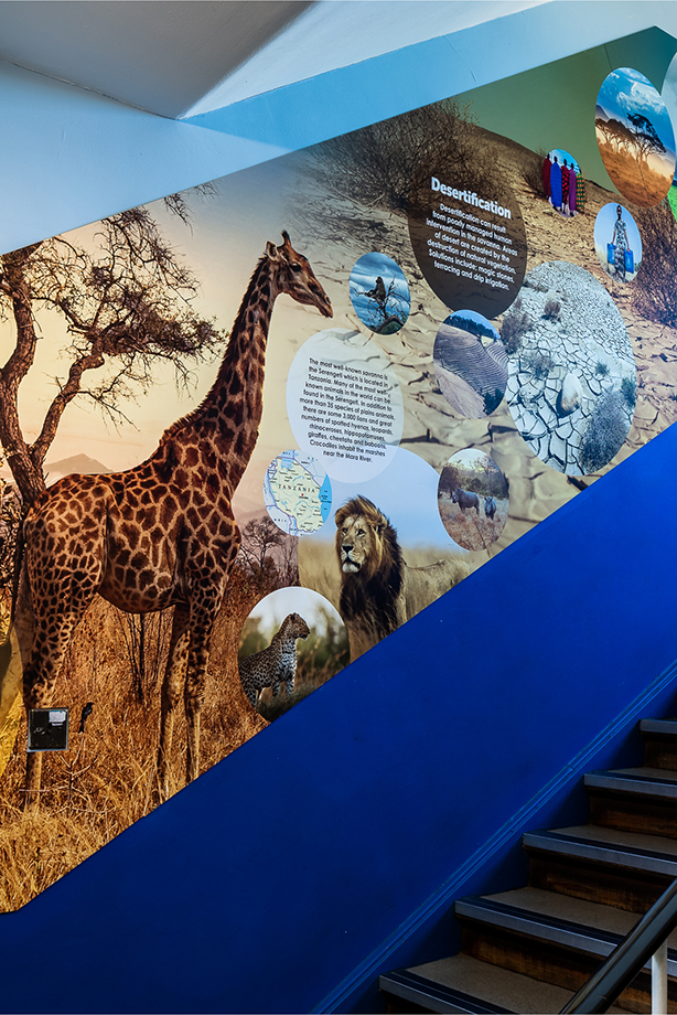 king edward geography school wall art