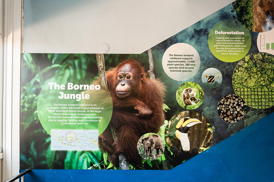 king edward geography school wall art