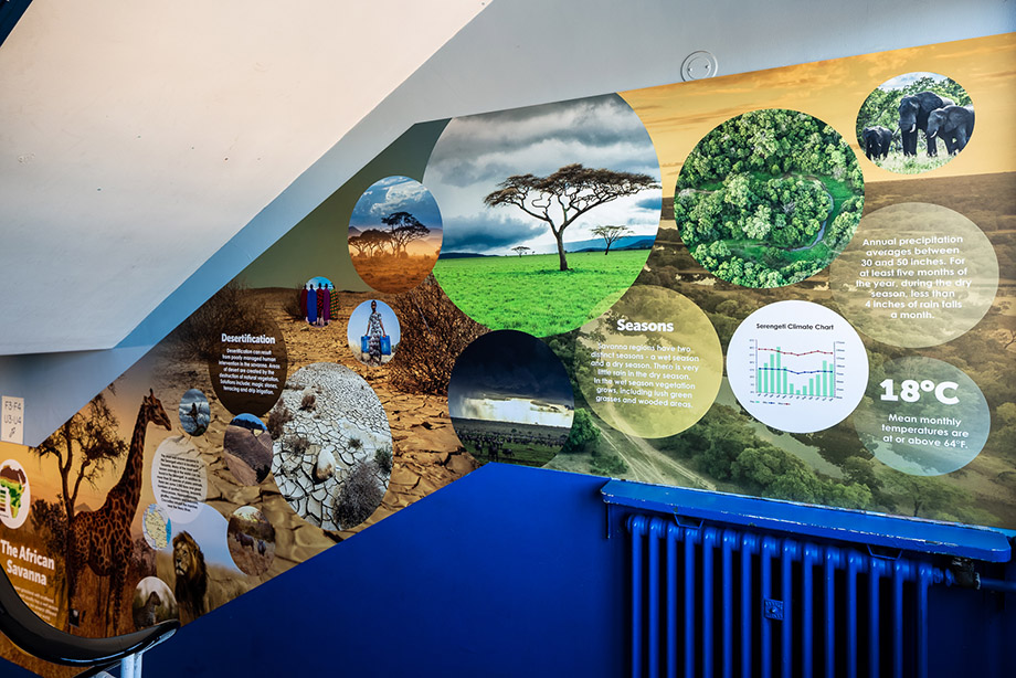 king edward geography school wall art