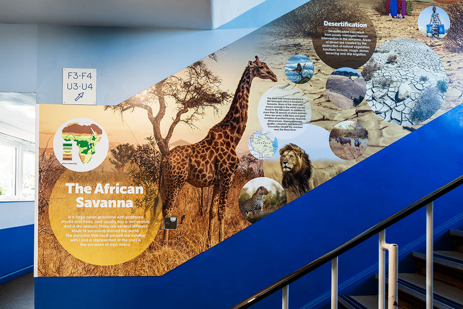 king edward geography school wall art