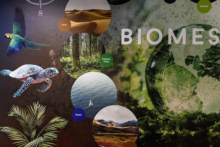 Forest school map wall art