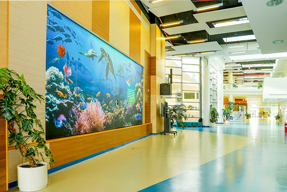 pdo school oman aquarium wall art