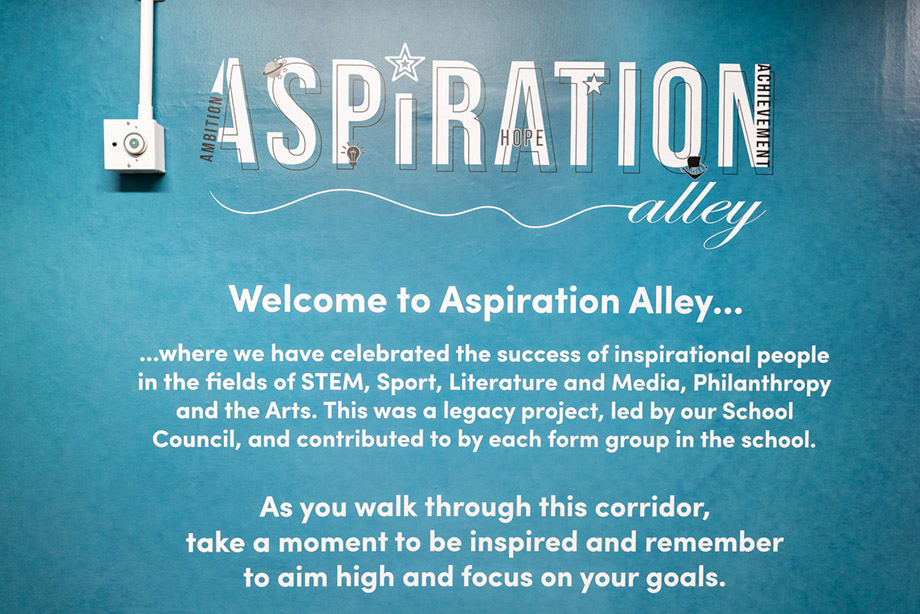 Davison aspiration alley wall art