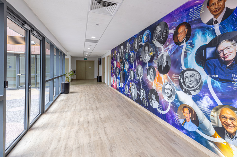 North london collegiate school singapore science wall art
