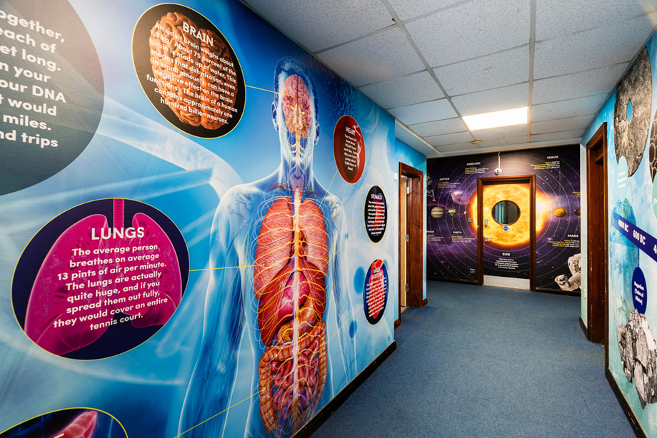 Davison high science timeline wall art