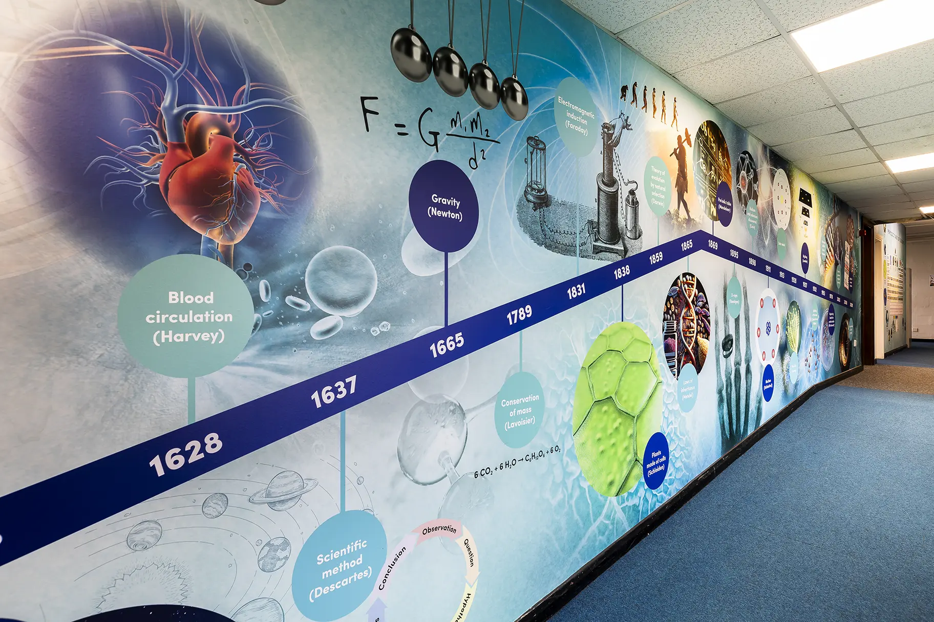 Davison high science timeline wall art